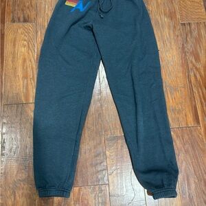 Aviator Nation Navy Blue Sweatpants